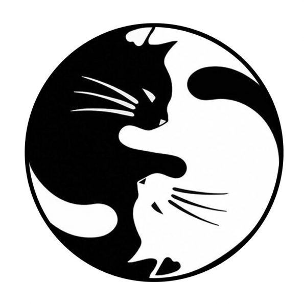 YIN-YANG